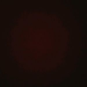 Meet your Posher, Sean